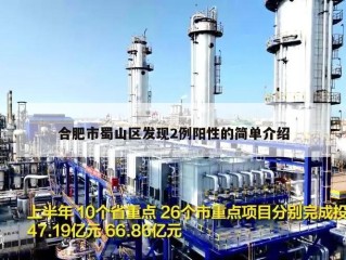 合肥市蜀山区发现2例阳性的简单介绍