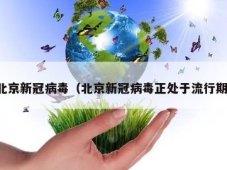 北京新冠病毒（北京新冠病毒正处于流行期）