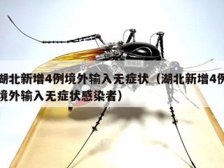 湖北新增4例境外输入无症状（湖北新增4例境外输入无症状感染者）