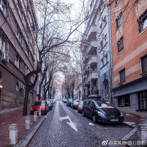 山间采蘑菇的意外邂逅，老鹰袭击事件当事人亲述